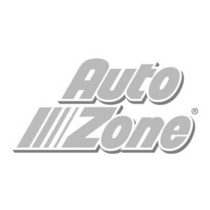 light-logo-autozone